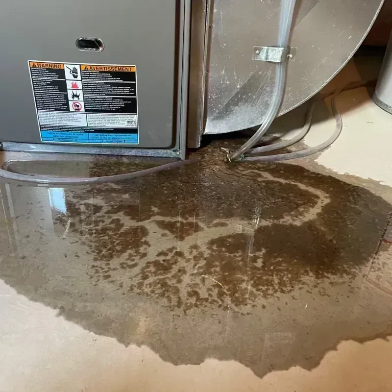 Appliance Leak Cleanup in Flat River, MO